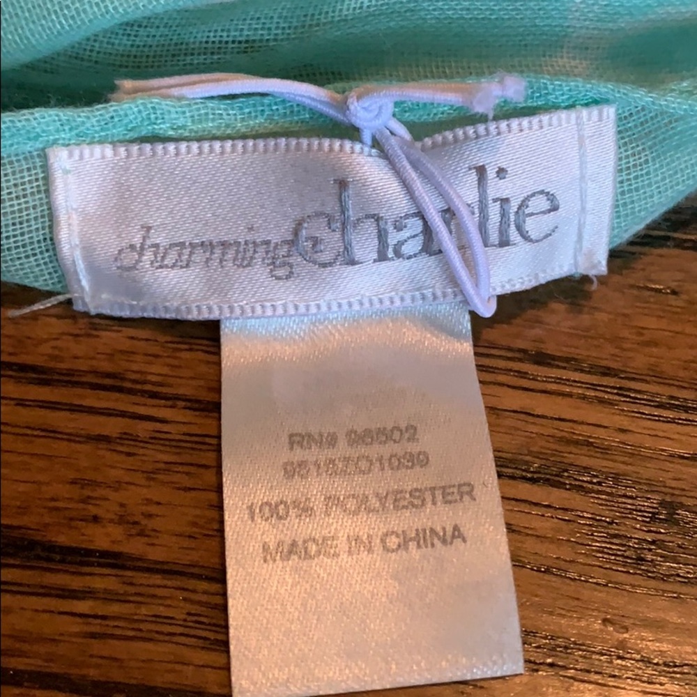 Charming Charlie scarf - Picture 2 of 2